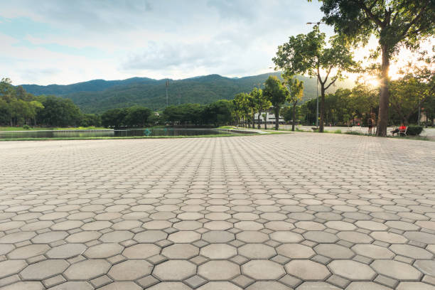 Paver Driveway Replacement in Castle Rock, CO